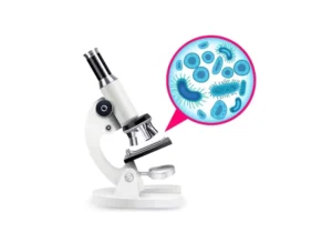 microbiological validations and qualifications